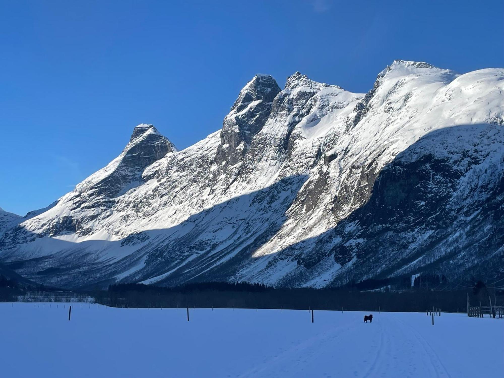 Apartment In The Heart Of Åndalsnes Екстериор снимка